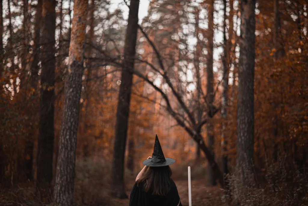 Samhain forêt sorcière